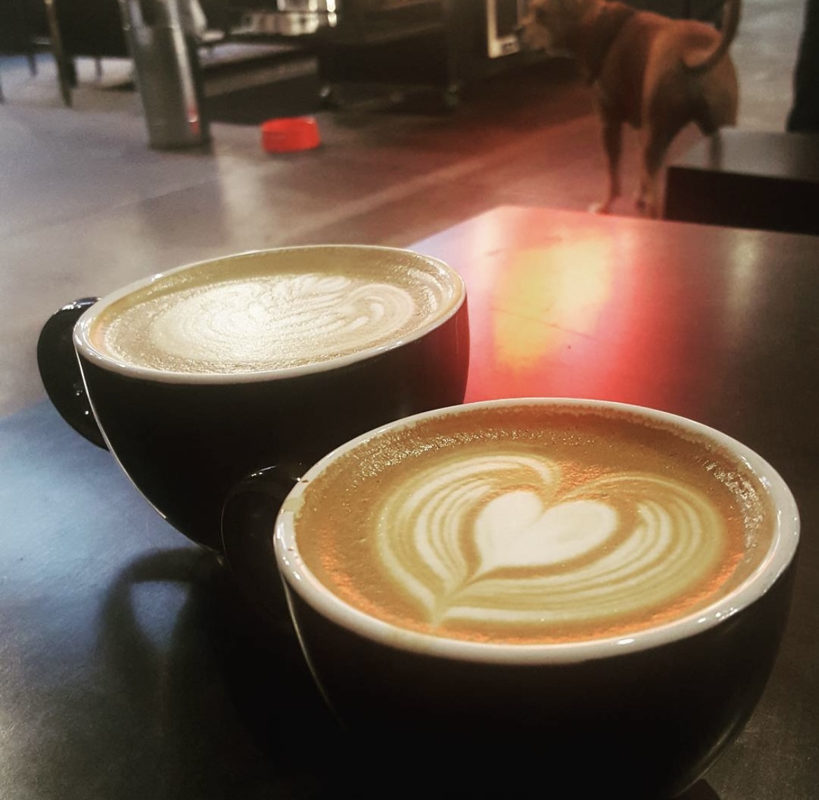 Two lattes in coffee mugs withy latte art